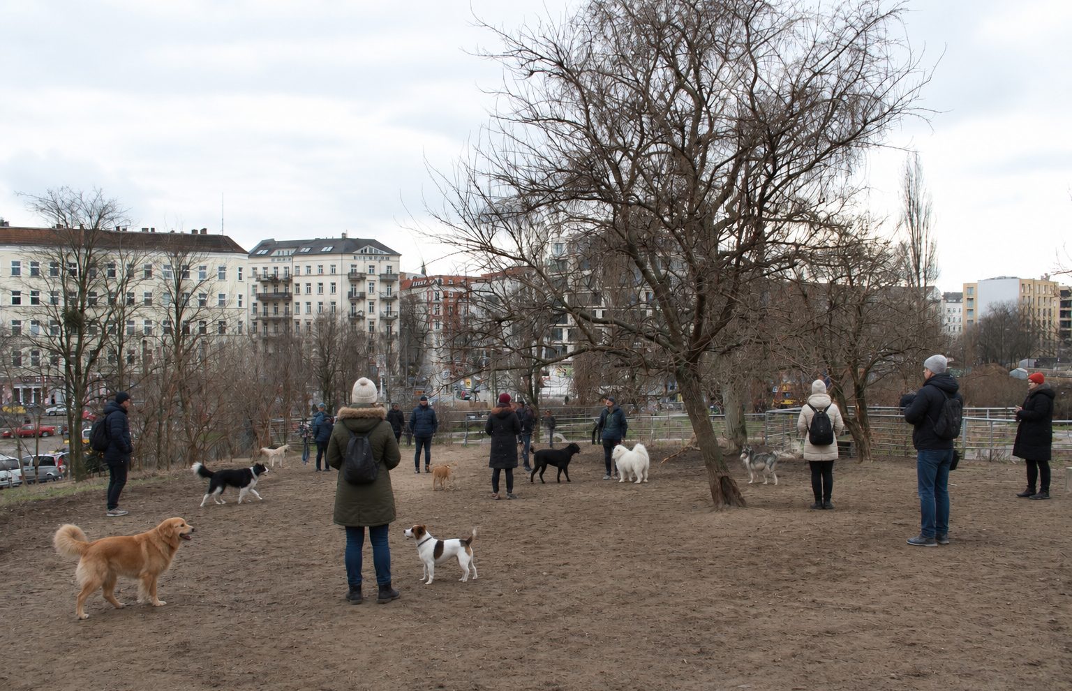 Mehrere Hunde mit Menschen auf der Winterfläche vor Wohnhäusern