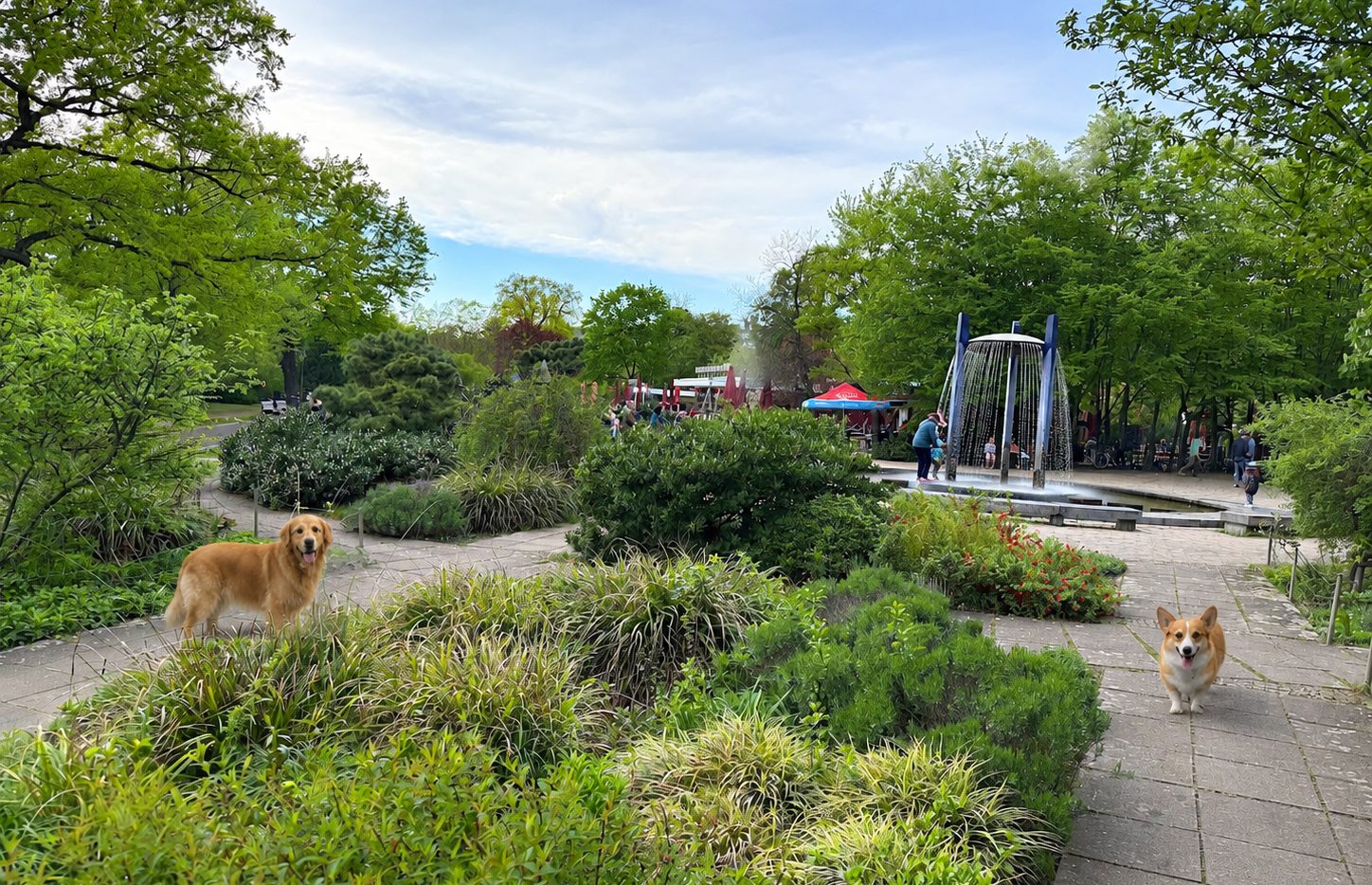 Hunde auf der Fläche im Volkspark Friedrichshain