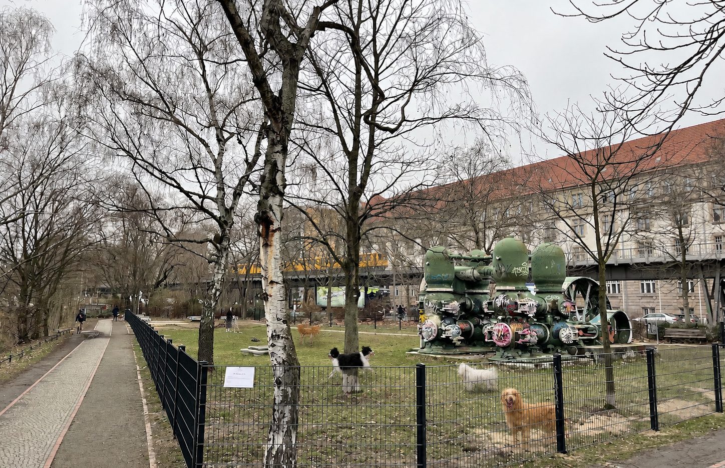 Hunde auf der Fläche des Auslaufs