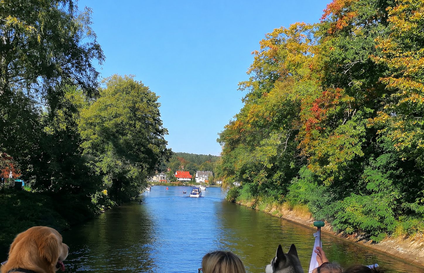Hund am Ufer