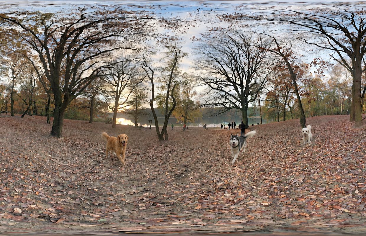 Hunde am Sandstrand in der Pücklerstraße