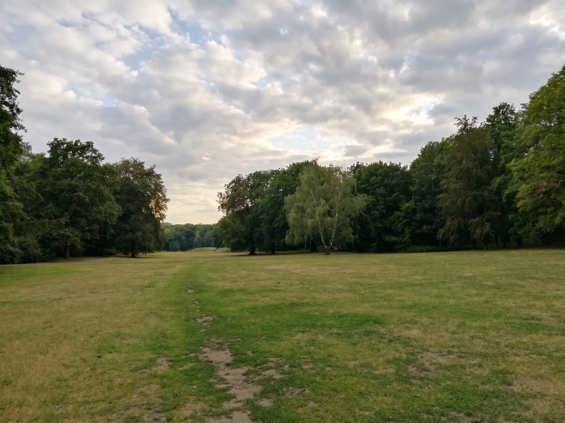 Große offene Parkwiese mit Bäumen