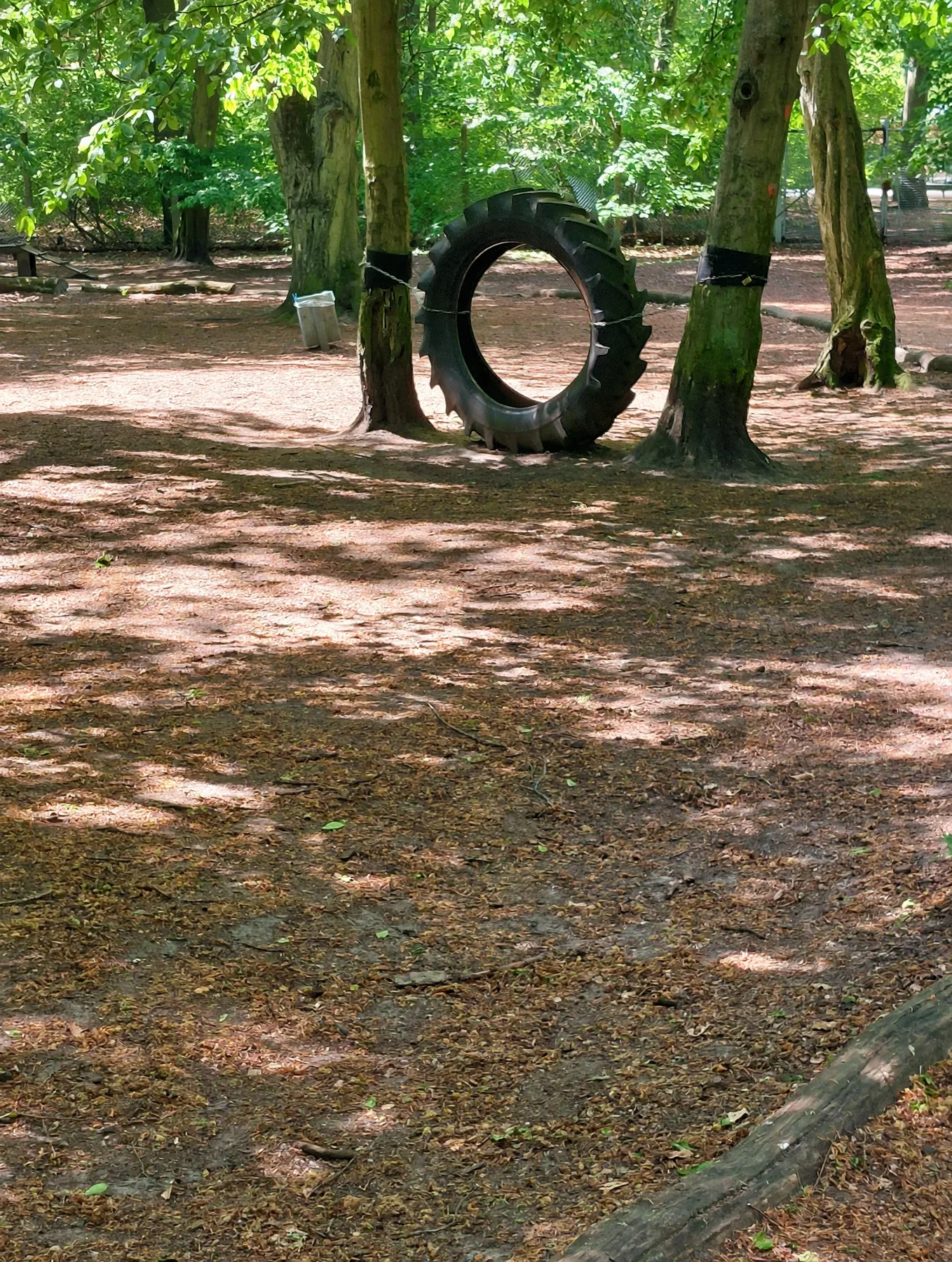 Nahaufnahme des Reifenhindernisses zwischen den Bäumen