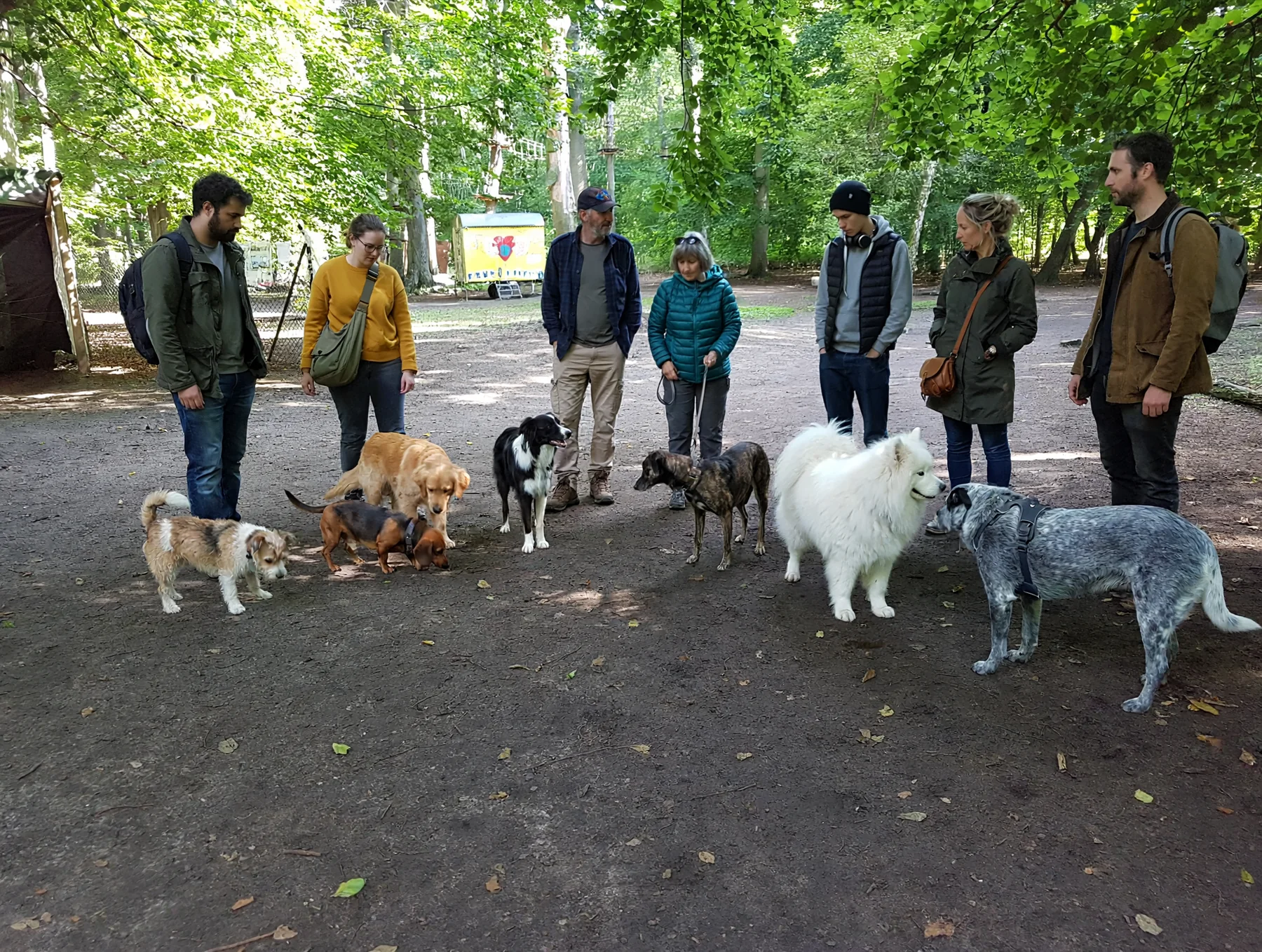 Kleiner Hund auf einem Weg an einem winterlichen Gewässer